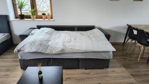 Apartamenty pod Orzechem