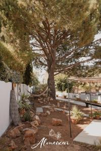 Guest House Almeixar