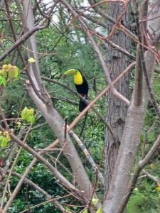 La Casa de la Montaña