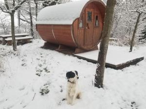 Tonneau proche des plages du débarquement