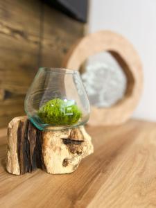 Apartmán Sachrák Harrachov