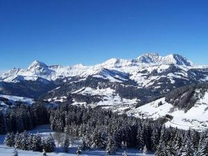 Résidence Le Ploum - 1012 personnes au départ des randonnées et pistes face au Mont Charvin MAE-1464