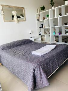 Monoambiente frente al río en Ramallo