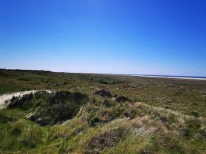 2 person holiday home in Fanø