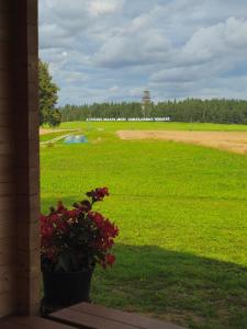 Atpūta Priedītēs - koka namiņi pie Tērvetes Dabas parka ar zirgiem, ponijiem un dabas tuvumu