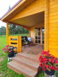 Atpūta Priedītēs - koka namiņi pie Tērvetes Dabas parka ar zirgiem, ponijiem un dabas tuvumu