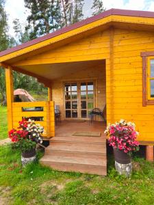 Atpūta Priedītēs - koka namiņi pie Tērvetes Dabas parka ar zirgiem, ponijiem un dabas tuvumu