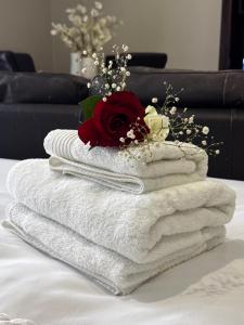 The olive stay at Ocean view Villas F7