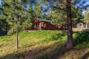 Beautiful tiny house retreat close to Missoula