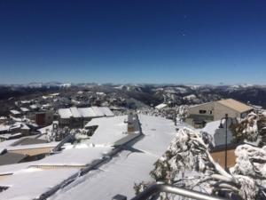 Beehive 9 AMS Mt Buller