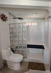 De Mary DEPARTAMENTO A5 Pent House