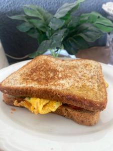 Neo Robiu & Ijen Tour