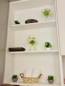 Casa Luna Cebu IT Park Stay