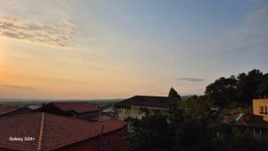 Telavi baadur Balarjishvilis 9