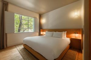 Cholula Condesa Hotel by Lumina