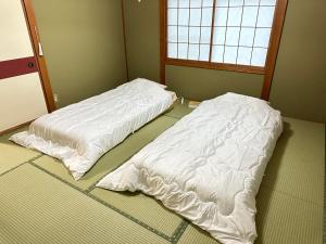 Summer Cool Forest Cottage-北軽井沢 夏涼の森コテージ-