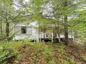 Summer Cool Forest Cottage-北軽井沢 夏涼の森コテージ-