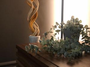 Kyosuian Rakutei - Vacation STAY 01902v