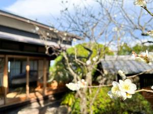 Oyado Shuzai - Vacation STAY 88301v