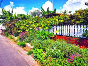 BoBos HOUSE - Vacation STAY 95198v