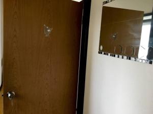 Oasis Wadaura - Vacation STAY 67399v