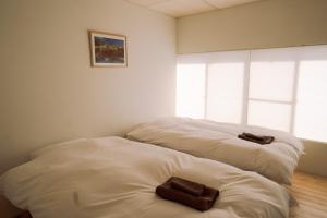 Kashi house - Vacation STAY 14251