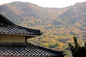 KINHOMARU - Vacation STAY 81323v