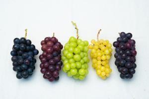 Kajitsuno mieru yado - Vacation STAY 06979v