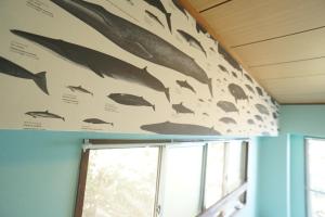 Izu Shirahama Taiyo Mansion - Vacation STAY 04444v