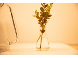 KONOHANA NO IORI - Vacation STAY 15340v