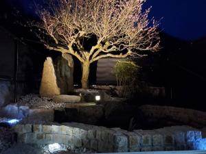 Natural open-air hot spring Chizu - Vacation STAY 16412v