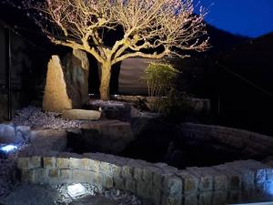 Natural open-air hot spring Chizu - Vacation STAY 16412v