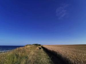 4 person holiday home in Store Fuglede