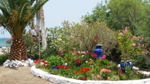Villa Zoi