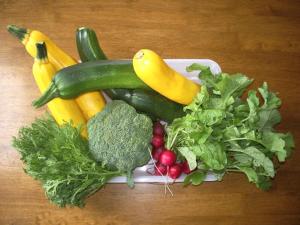 Kogen no Kashi Besso Kurumi Terrace - Vacation STAY 56123v