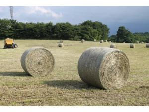 Kogen no Kashi Besso Kurumi Terrace - Vacation STAY 56123v