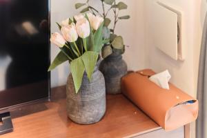 Regnocomfort Asakusa 3 - Vacation STAY 61883v