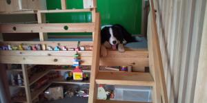 Sarari - Vacation STAY 66365v