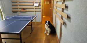 Sarari - Vacation STAY 66365v