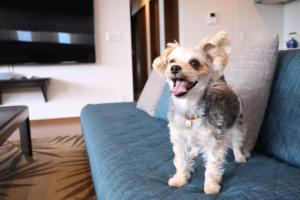 Ocean Resort Tateyama BBQ House - Vacation STAY 73564v