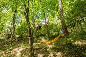 Log house Grazzi - Vacation STAY 70263v