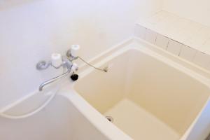 Daiichi Mitsumi Corporation - Vacation STAY 14790