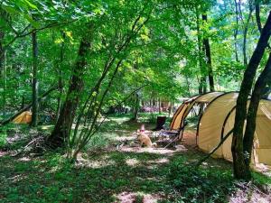 Shirasu-Ojiro FLORA Campsite in the Natural Garden - Vacation STAY 00656v