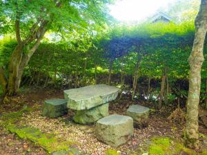 Sanso Seseragi - Vacation STAY 15301