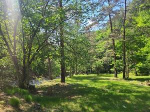 Nodaira Campsite - Vacation STAY 82815v