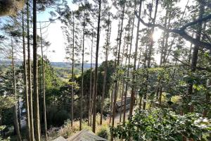 Private Garden Otaki - Vacation STAY 42041v