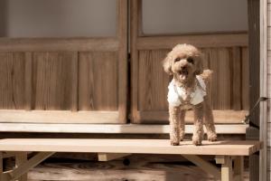 Village IRORI - Vacation STAY 65333v