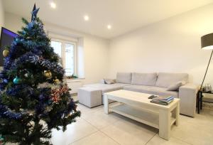 Appartement à La Bresse, proche des lacs, pistes de ski et randonnées