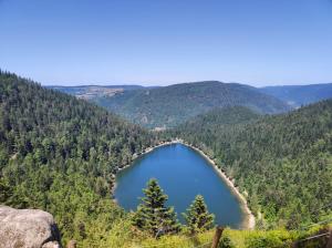 Appartement à La Bresse, proche des lacs, pistes de ski et randonnées
