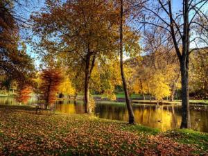 Charming cottage in a farm with views
